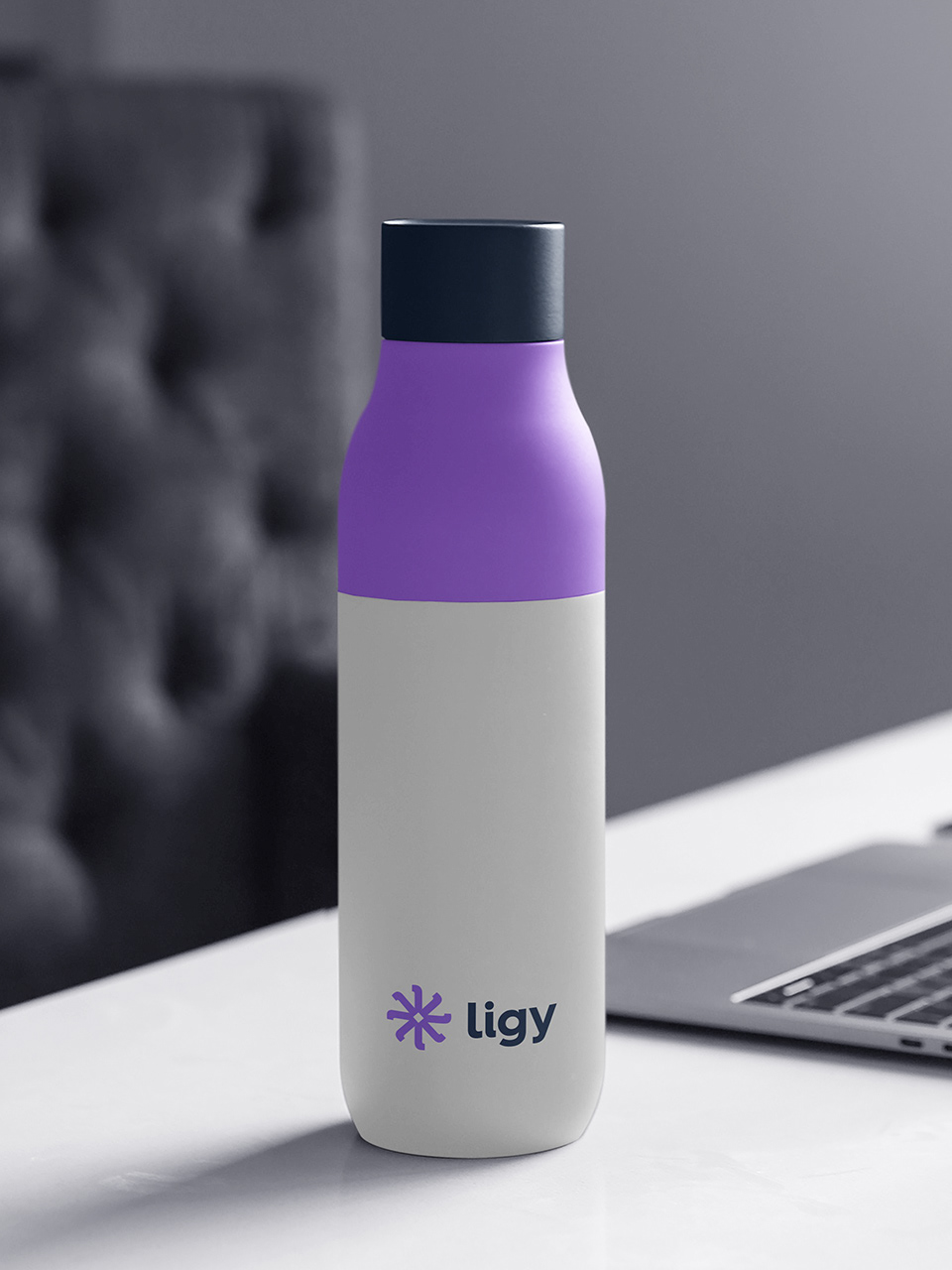 Ligy